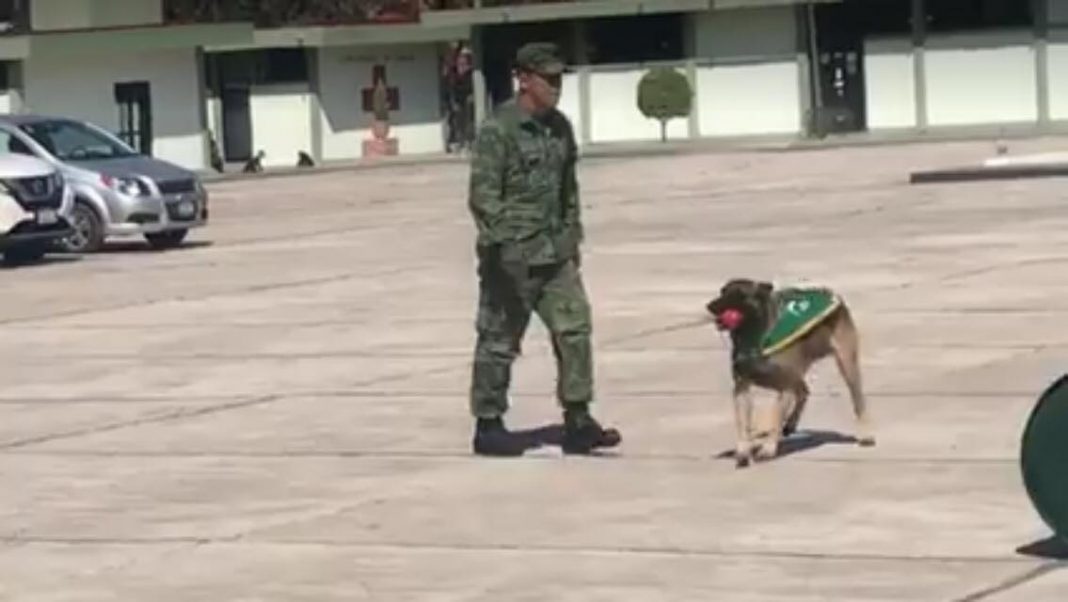 En Vivo El la 17 zona militar en Queretaro, funciones y logros del ejército En Vivo El la 17 zona militar en Queretaro, funciones y logros del ejército