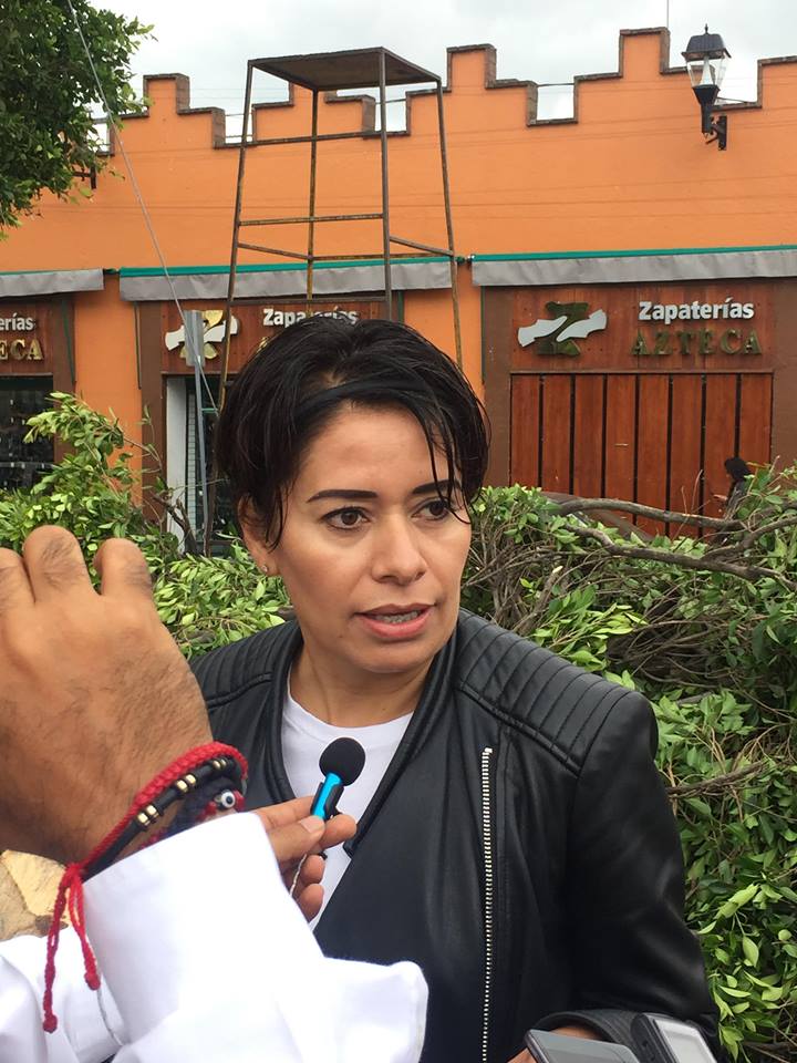 RETIRARAN ARBOLES DEL JARDIN INDEPENDENCIA. RETIRARAN ARBOLES DEL JARDIN INDEPENDENCIA.