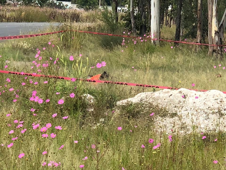 Encuentran el cuerpo al parecer ejecutado en San Sebastián de las Barrancas Norte en los límites del Edo de Mex Encuentran el cuerpo al parecer ejecutado en San Sebastián de las Barrancas Norte en los límites del Edo de Mex