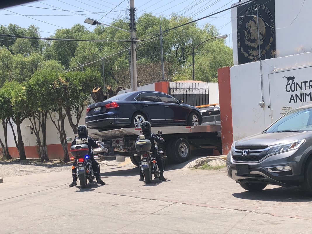 No estaba muerto, andaba de parranda No estaba muerto, andaba de parranda