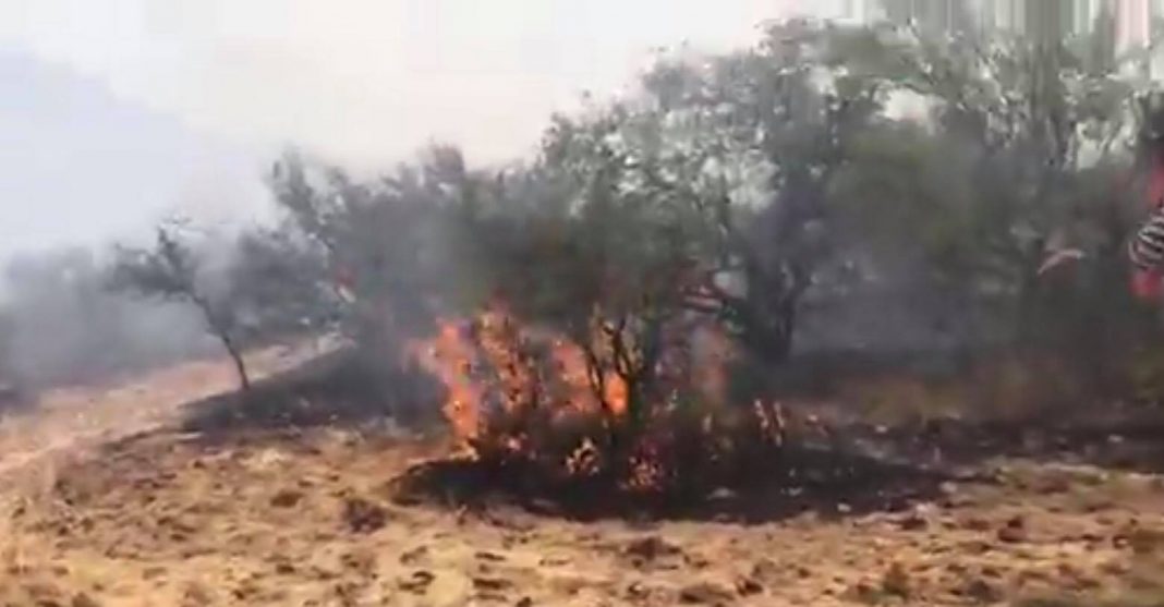 SE INCENDIA EL CERRO DE LA VENTA SE INCENDIA EL CERRO DE LA VENTA