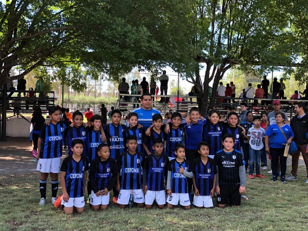 Gallitos CEFOMA gana campeonato 2-0 al Pachuca Gallitos CEFOMA gana campeonato 2-0 al Pachuca