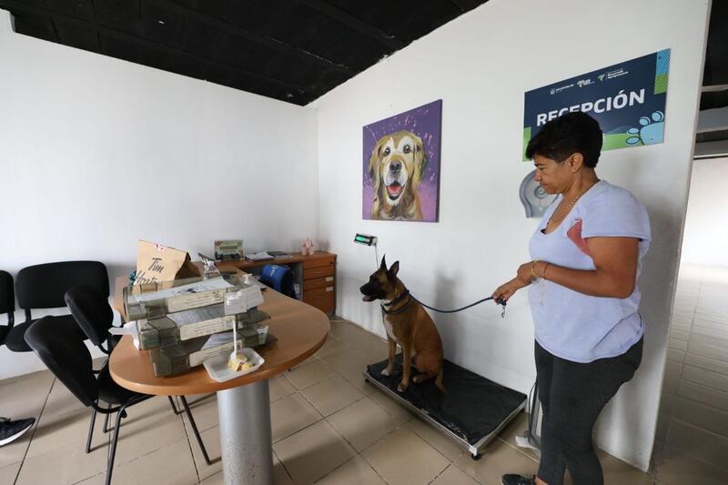 Municipio de San Juan del Río refrenda su compromiso con el cuidado y la protección de animales Borrador automático