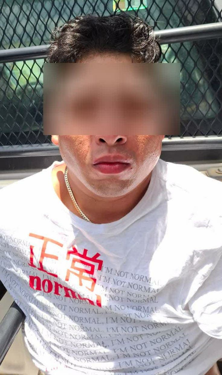 Borrador automático