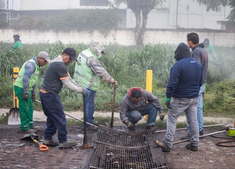 Borrador automático