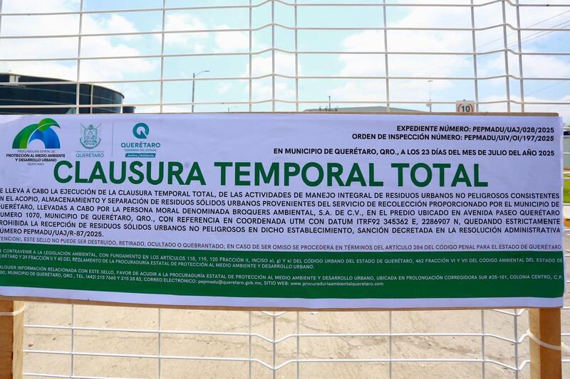 Borrador automático