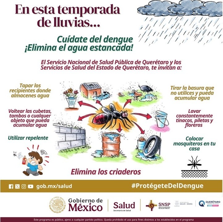 Borrador automático