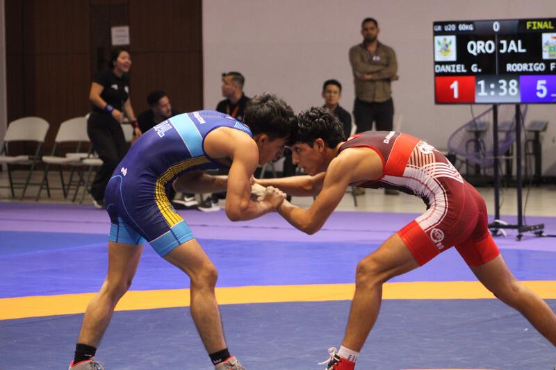 Borrador automático