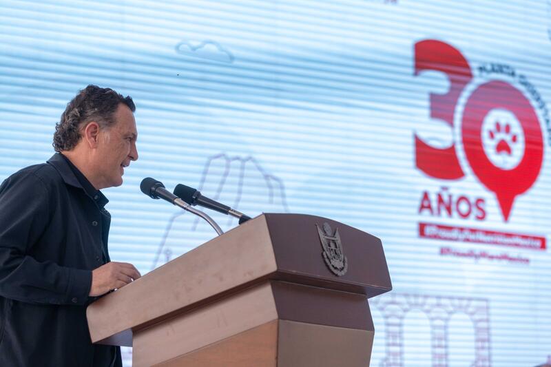 Borrador automático