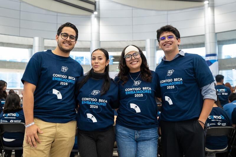 Borrador automático