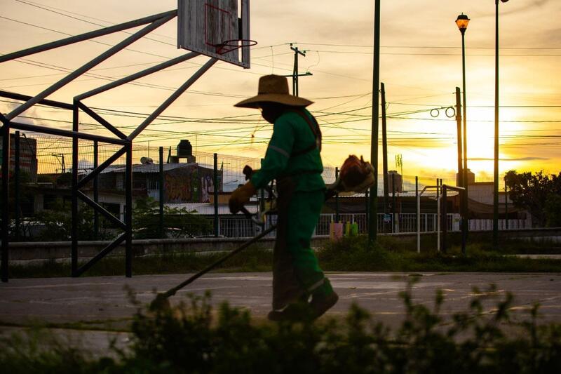 Borrador automático