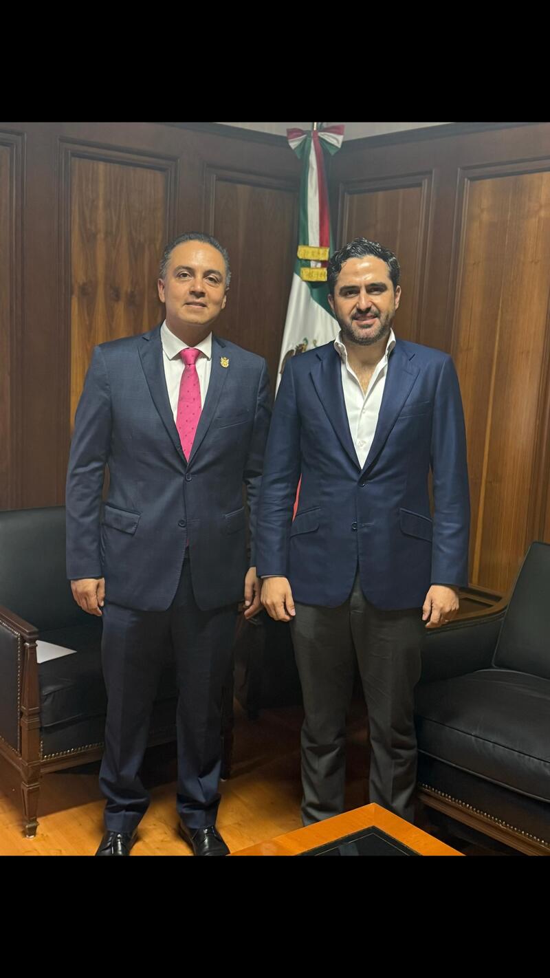 Borrador automático