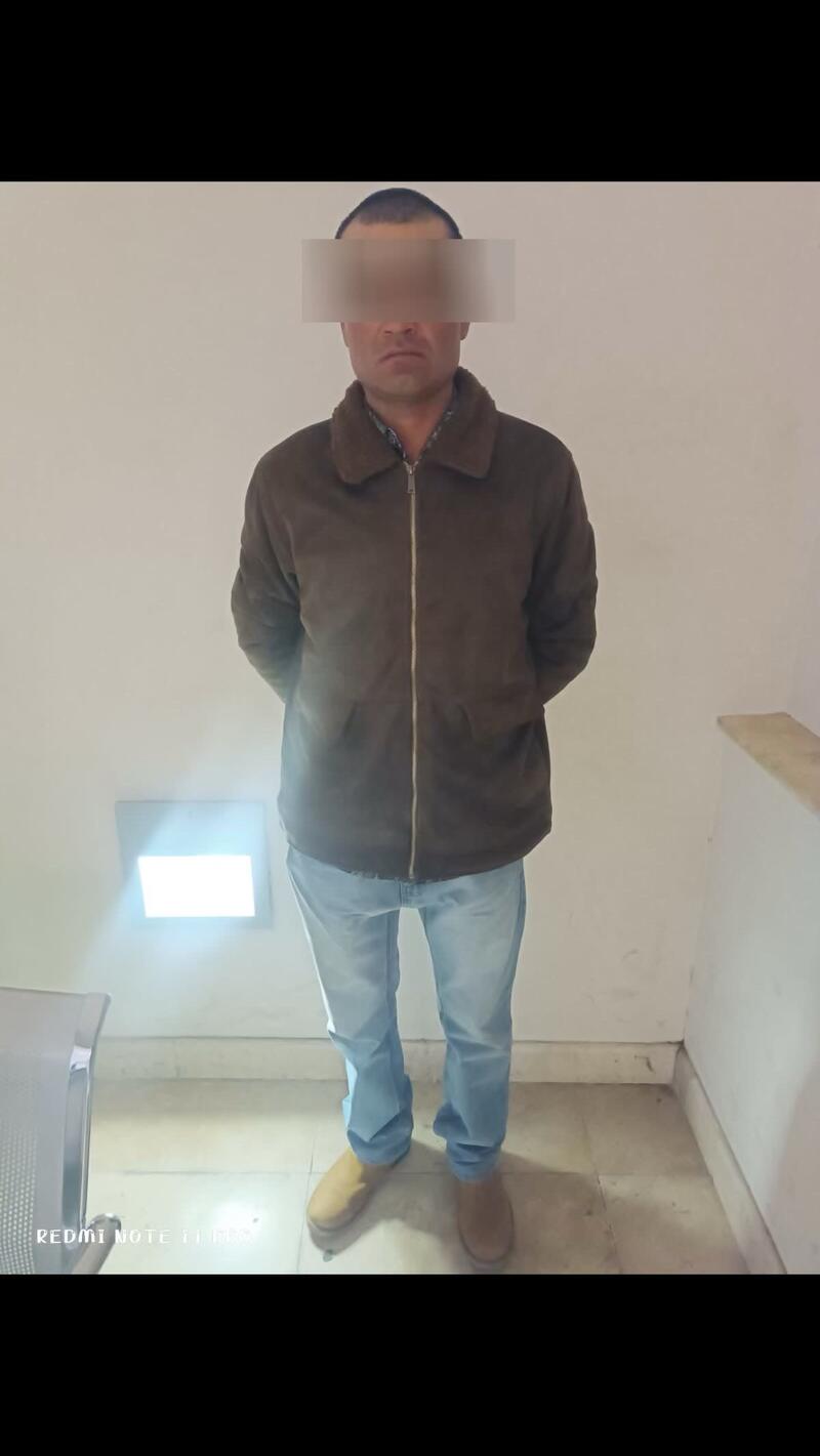 Borrador automático