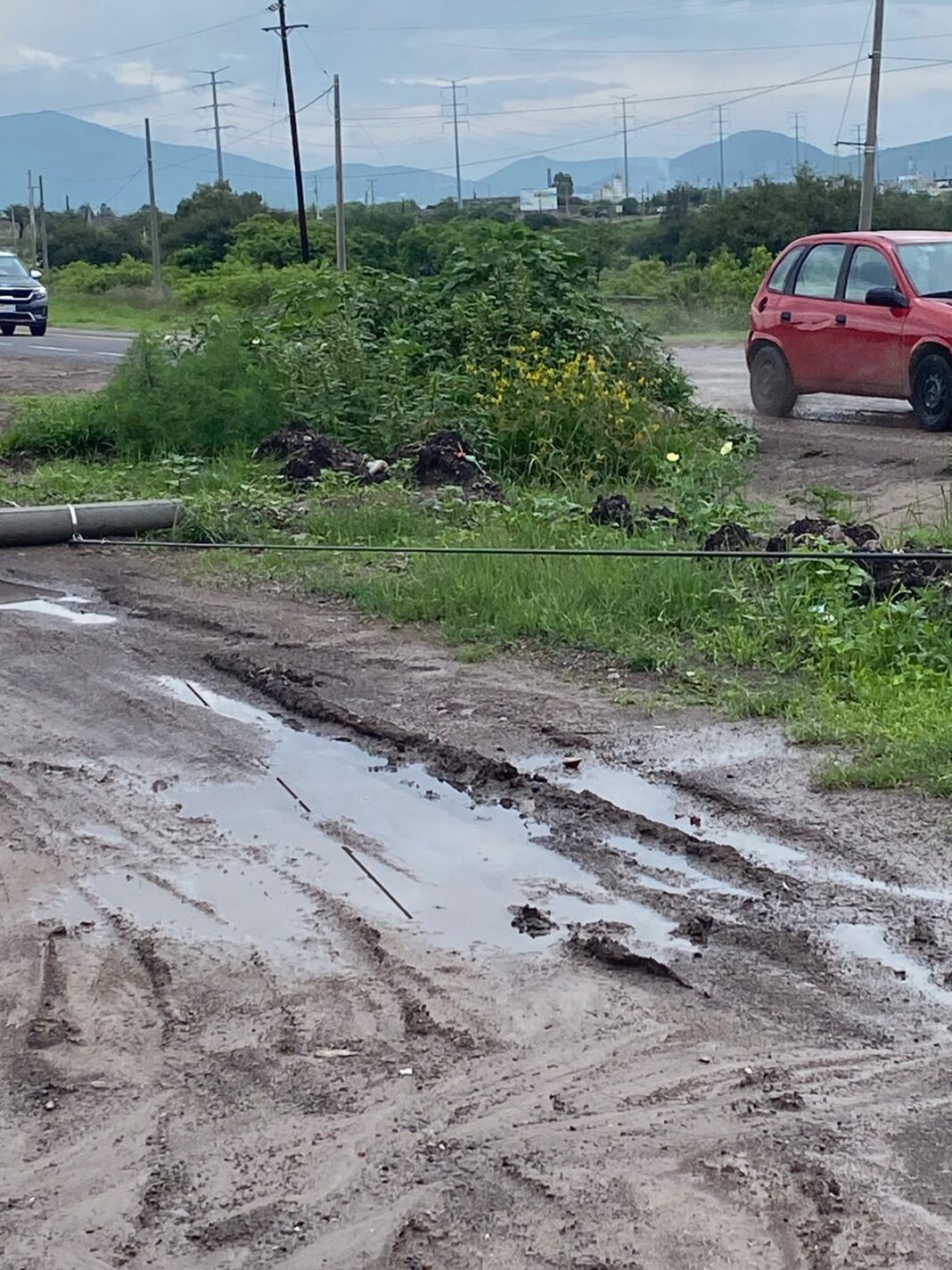 Llama la diputada Tere Calzada a CFE a reforzar las acciones preventivas y de atención inmediata Llama la diputada Tere Calzada a CFE a reforzar las acciones preventivas y de atención inmediata