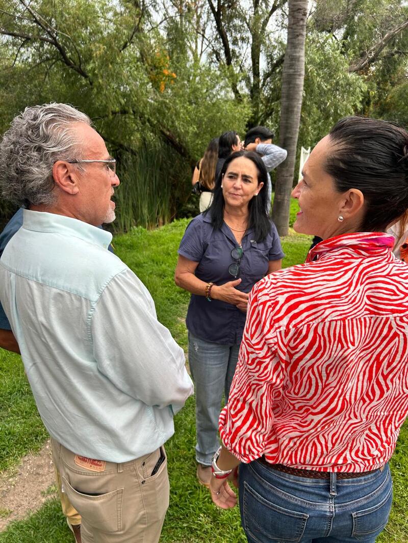 Borrador automático