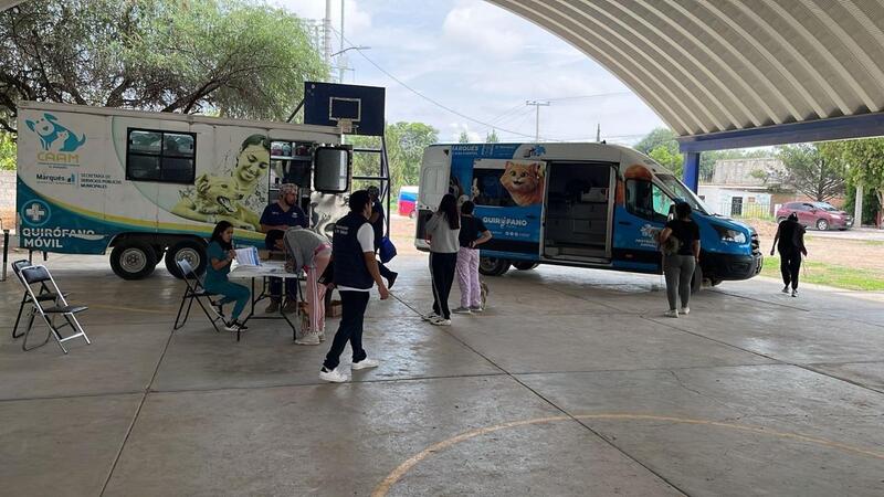 Borrador automático