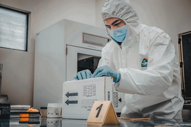 Borrador automático