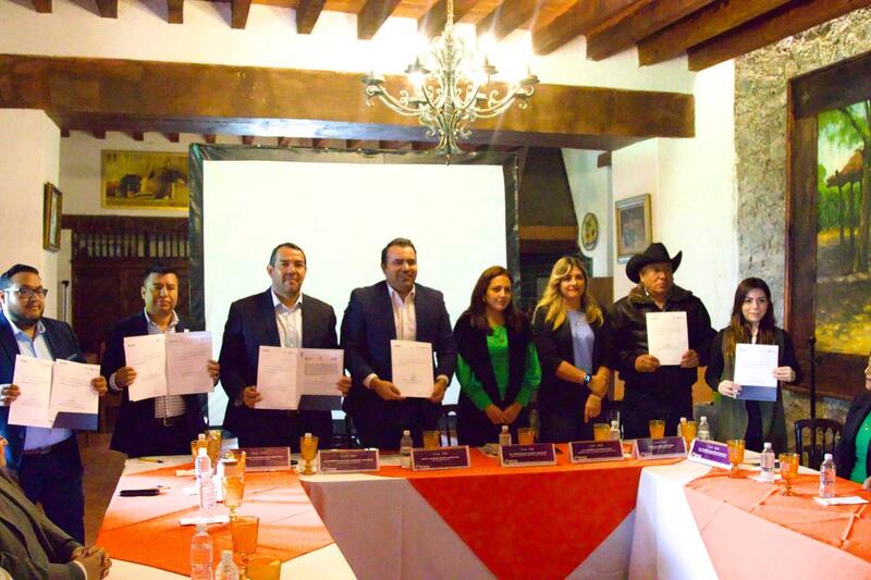 Borrador automático