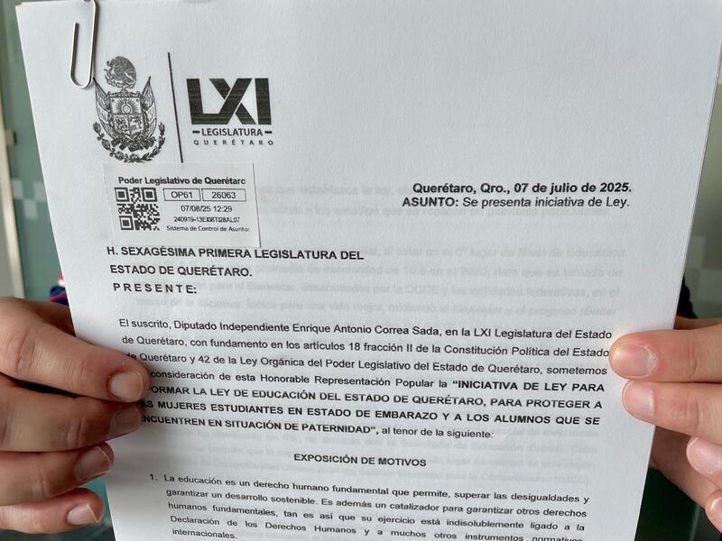 Borrador automático