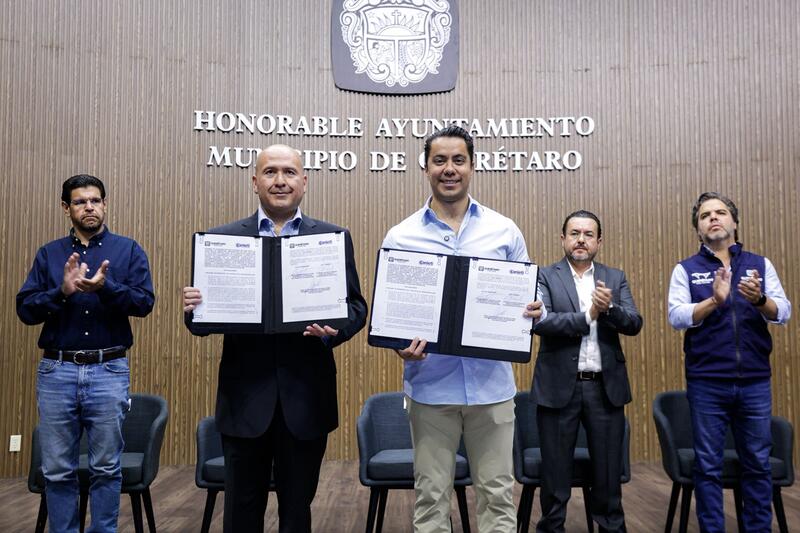 Borrador automático