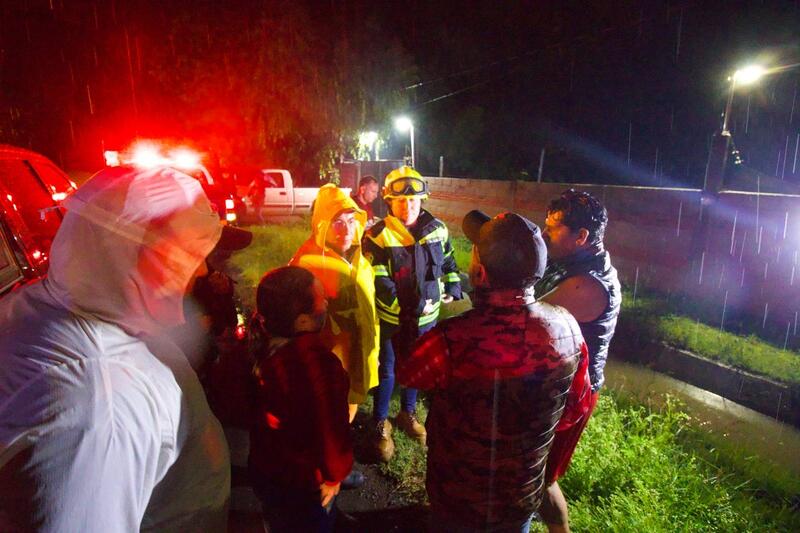 Borrador automático