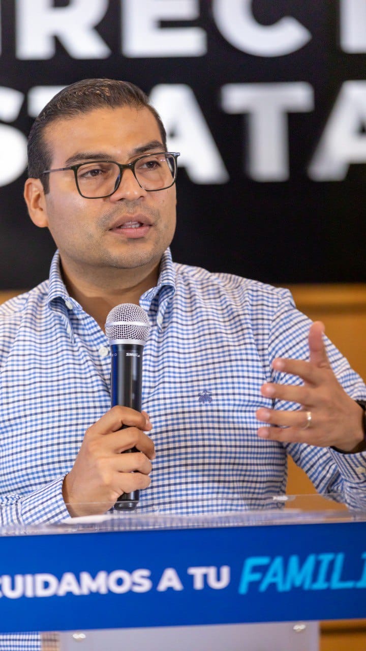 Borrador automático