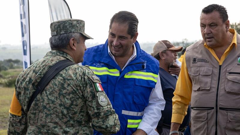 Borrador automático