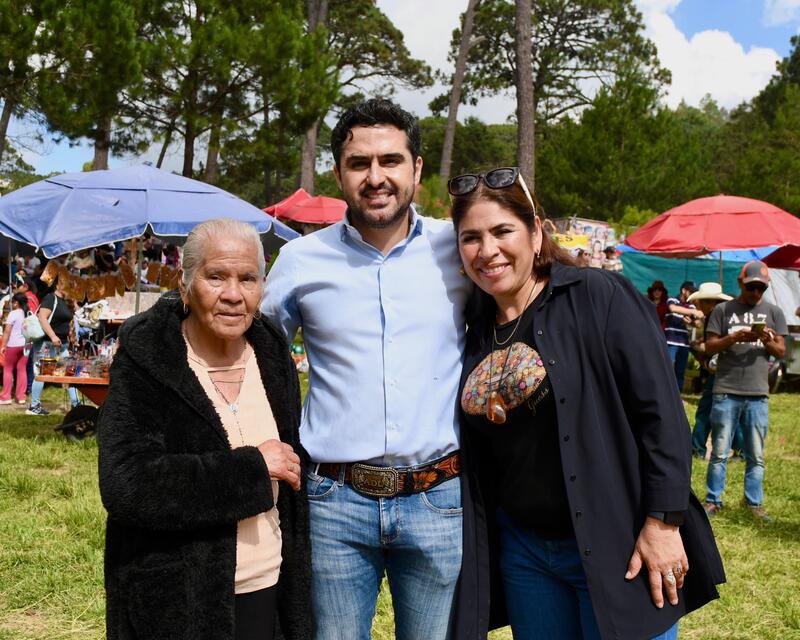 Borrador automático