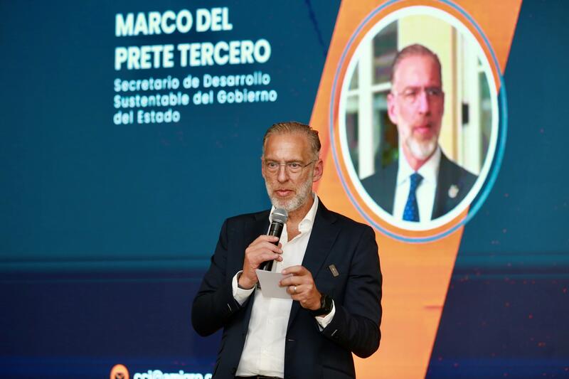 Borrador automático