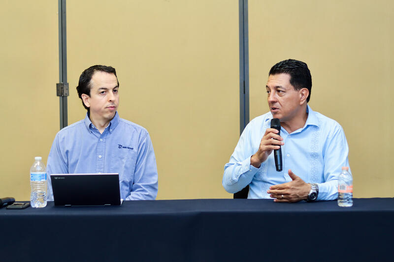 Borrador automático