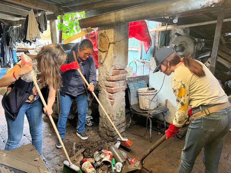 Borrador automático