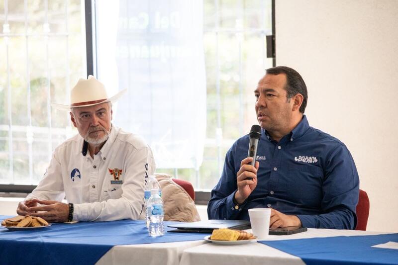 Borrador automático