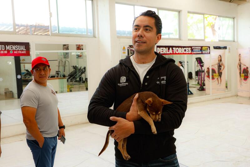 Borrador automático