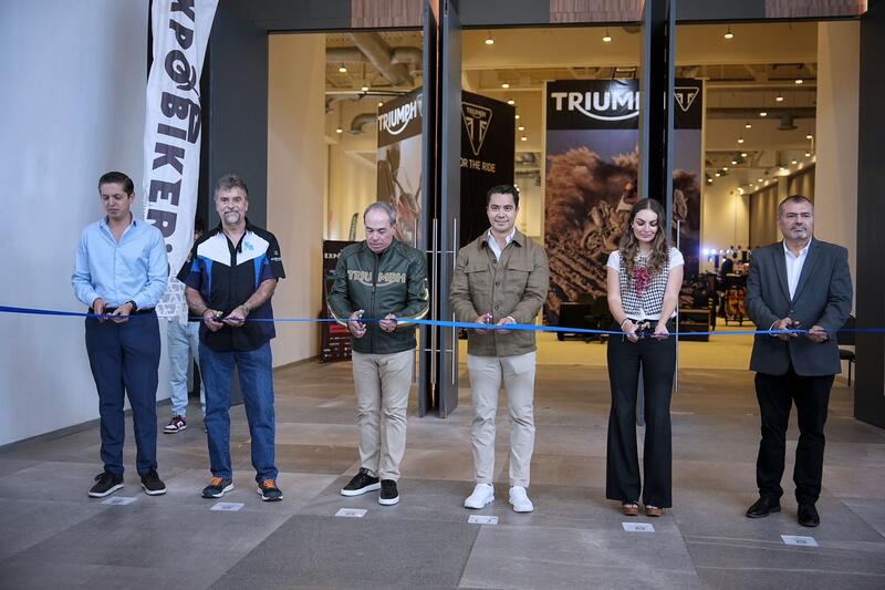 Borrador automático