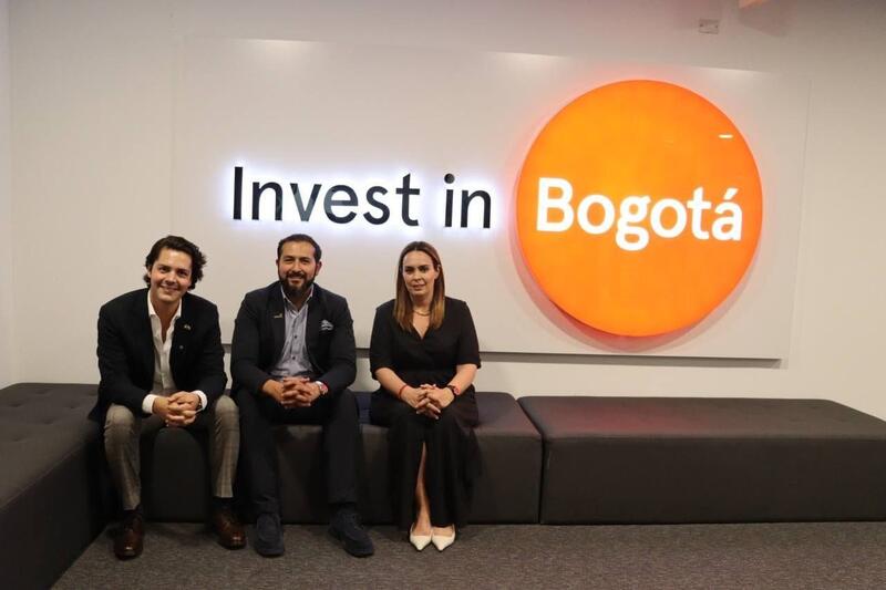 Borrador automático