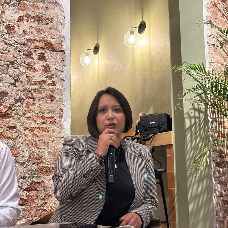 Borrador automático