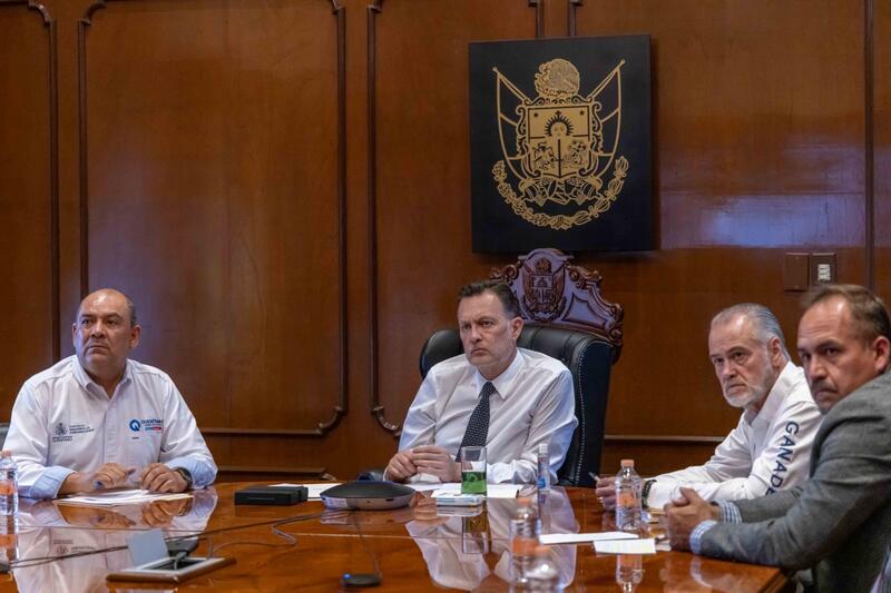 Borrador automático