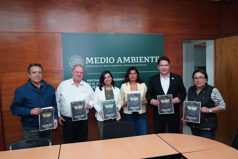 Borrador automático