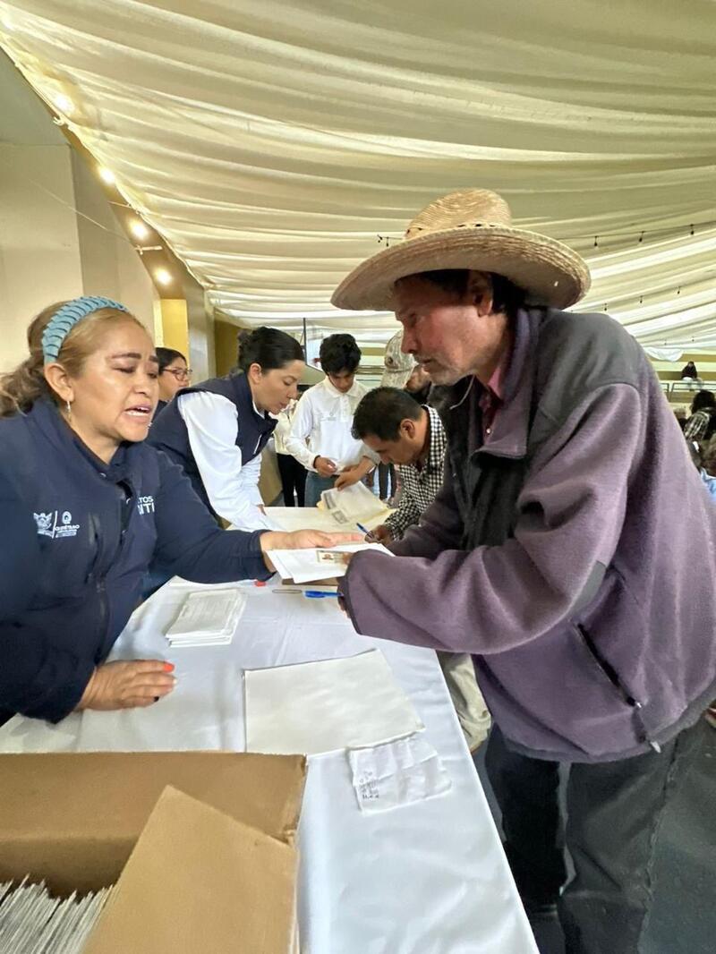 Borrador automático