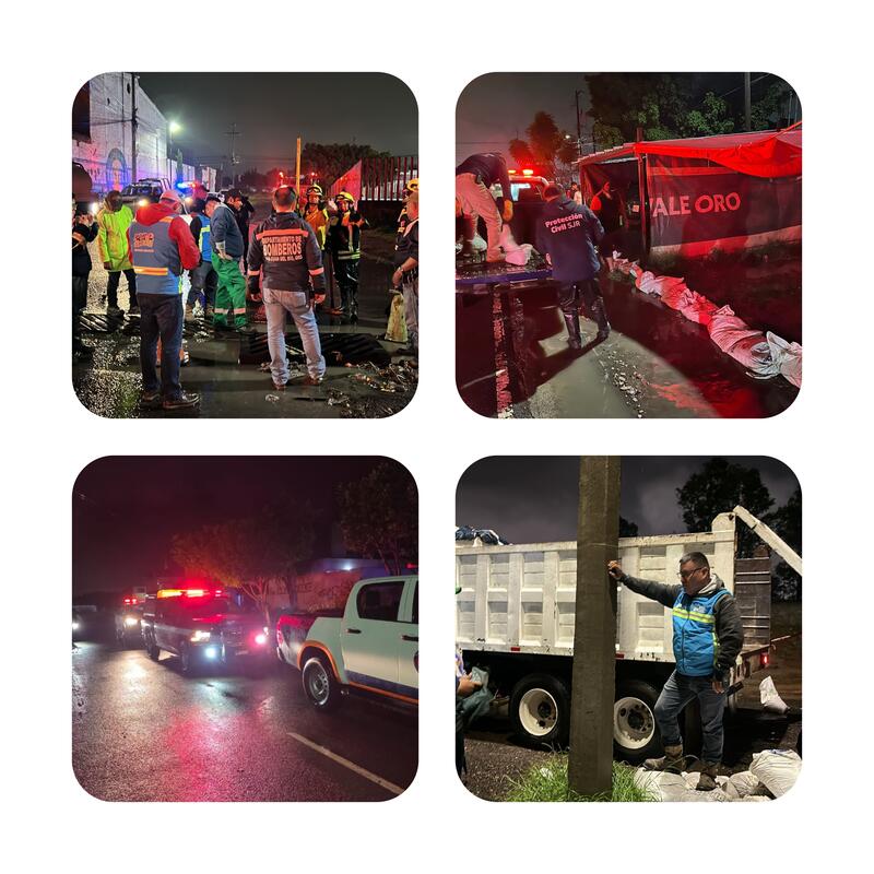 Borrador automático