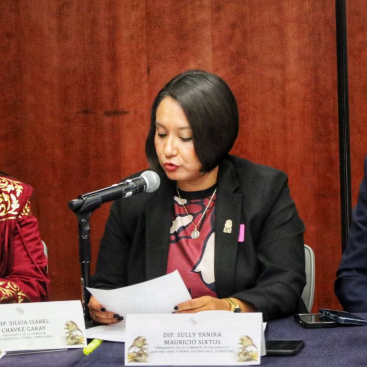 Borrador automático