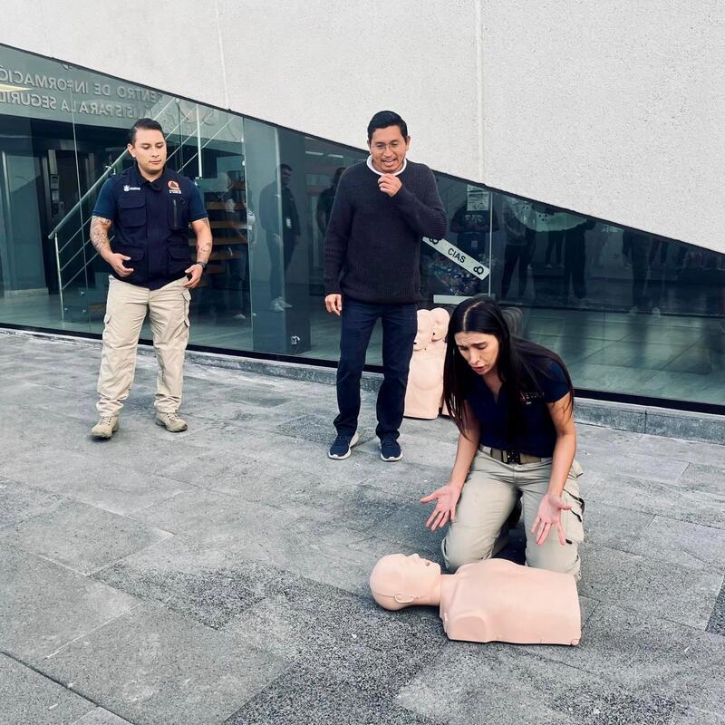 Borrador automático