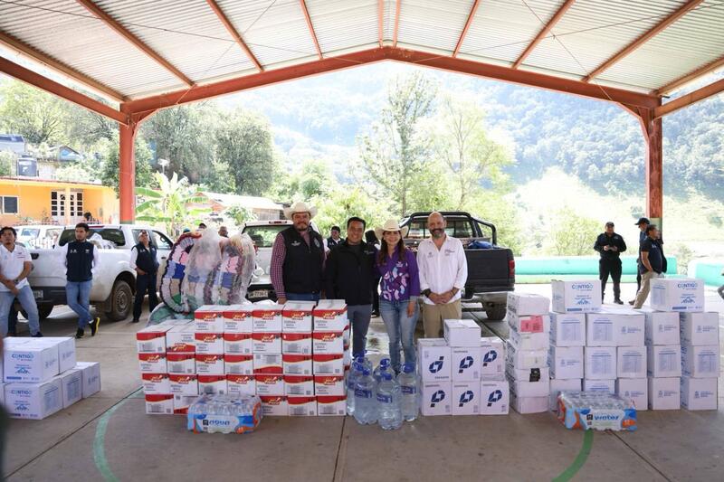 Borrador automático