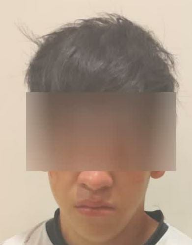 SSPMSJR detiene a masculino por violencia familiar, lesiones dolosas y daños dolosos Borrador automático