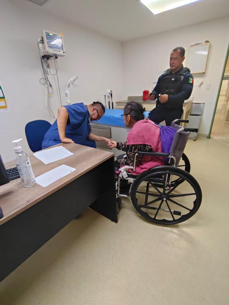 Borrador automático