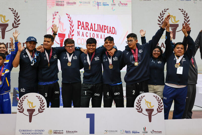 Borrador automático