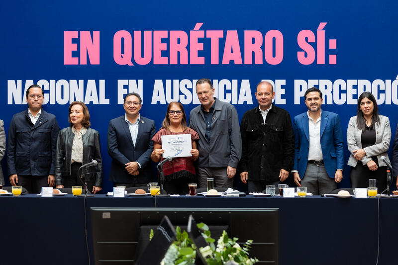 Borrador automático