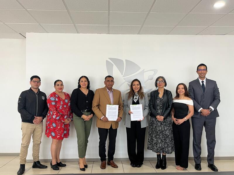 Borrador automático