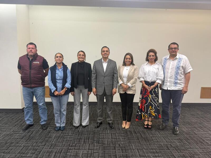 Borrador automático