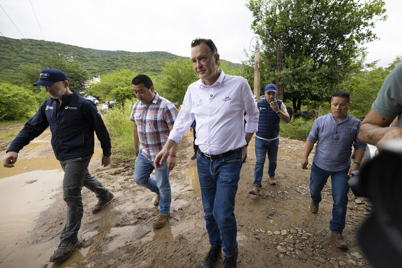 Borrador automático